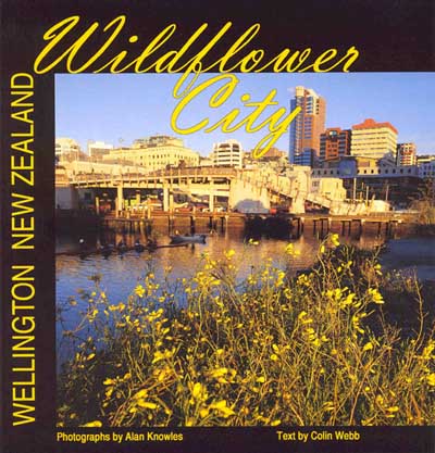 Wildflower City - Wellington New Zealand